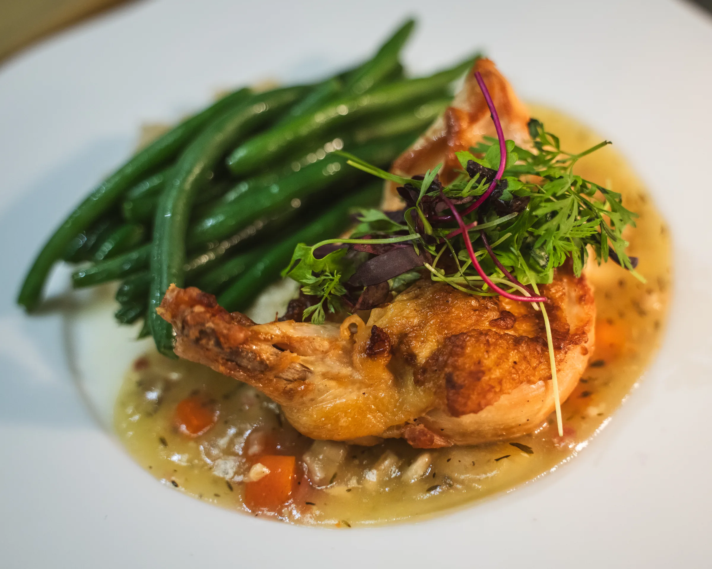 Roasted chicken over pan jus with green beans and microgreens