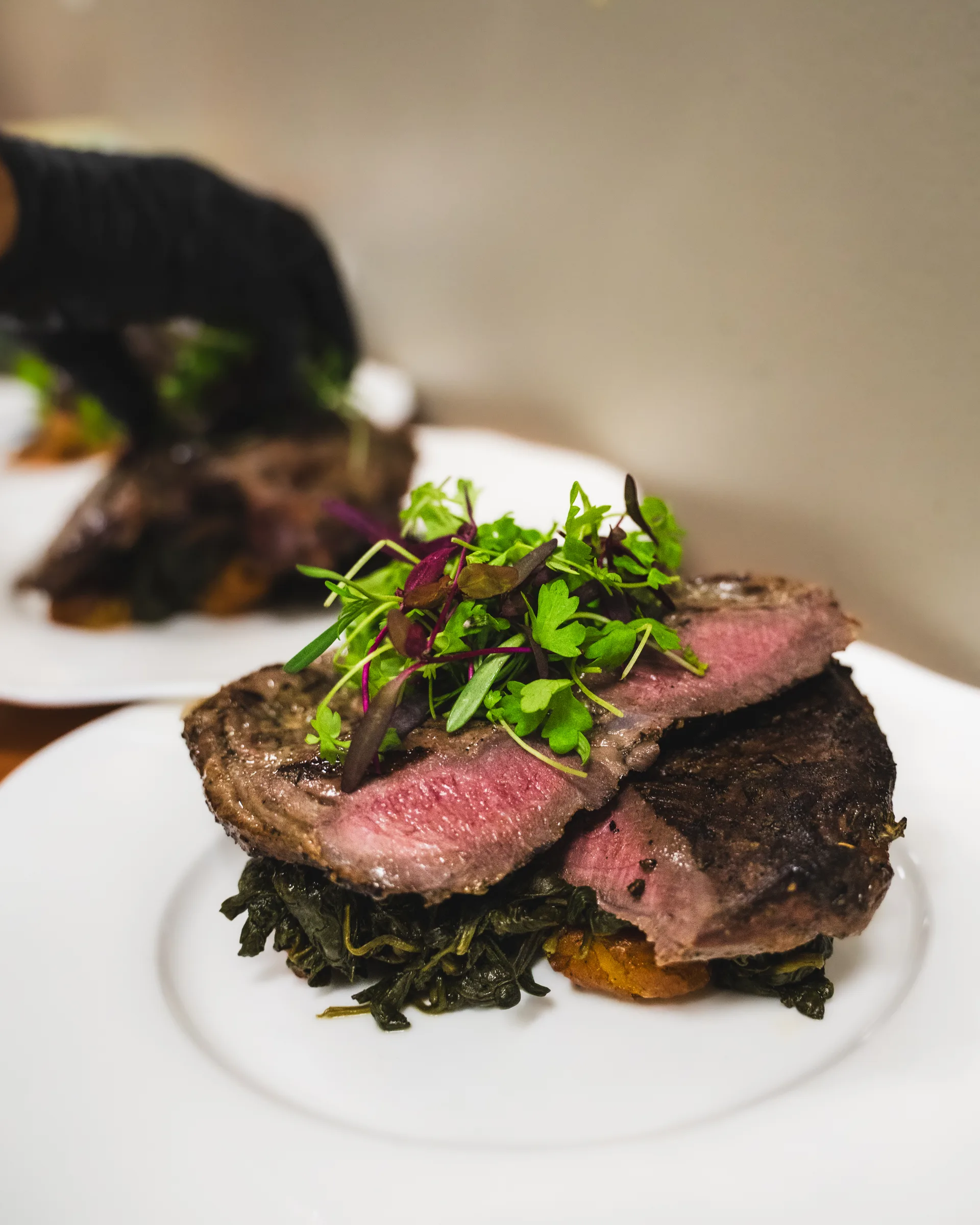 Sliced steak over greens with microherbs
