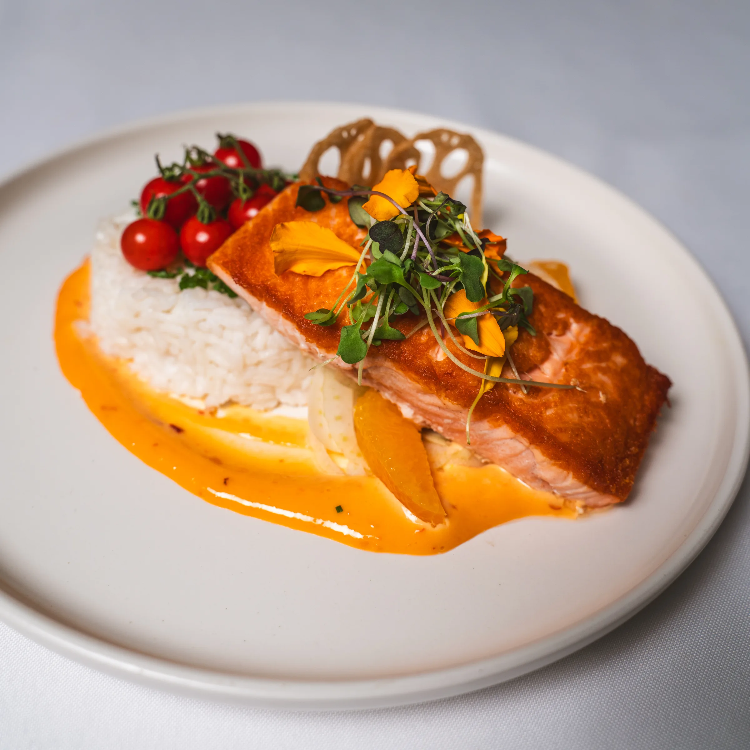 Seared salmon over rice with a bright pepper sauce and microgreens